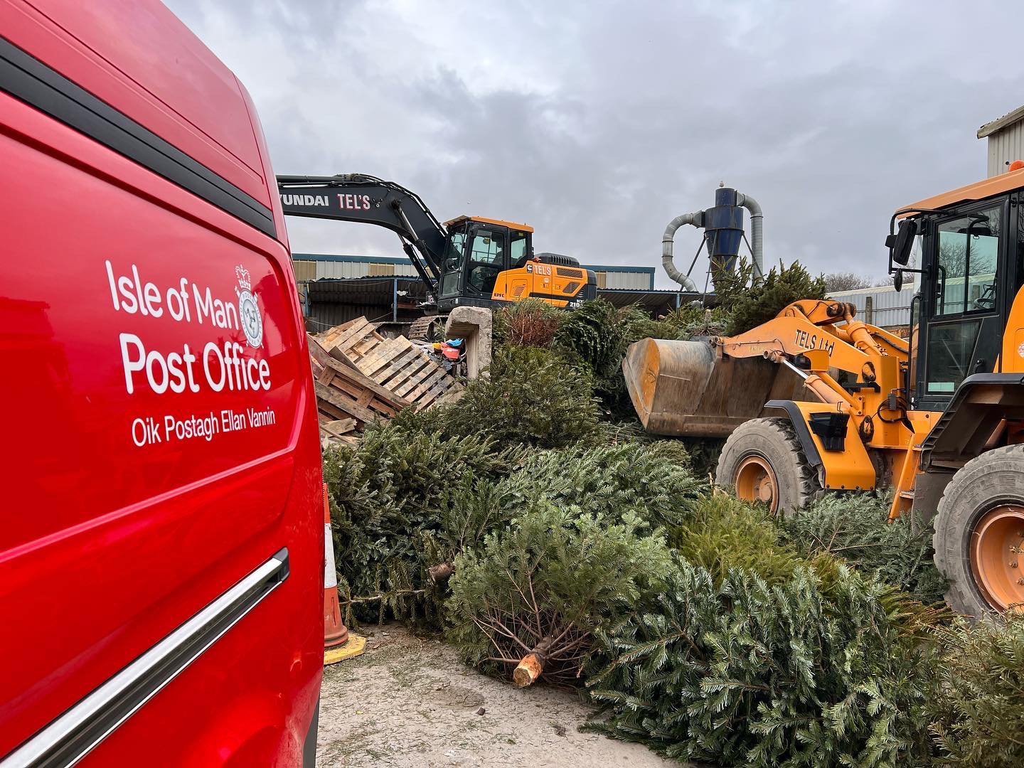 2023 Christmas Tree Recycling Service Hospice Isle of Man