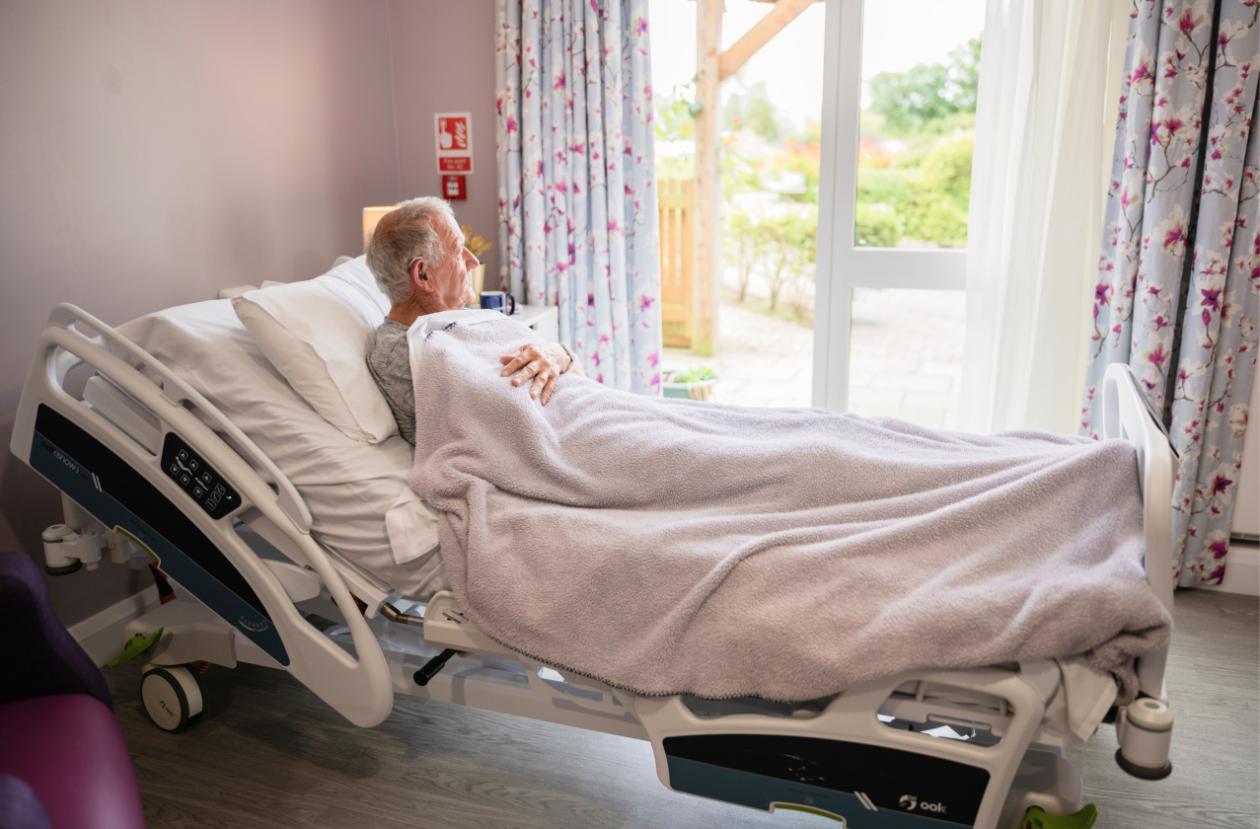 Patient in a bed looking out the windows into the garden