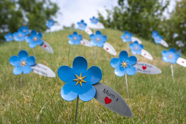 Memory Meadow flowers in the Hospice garden