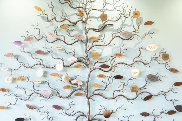Hospice Tree of Life