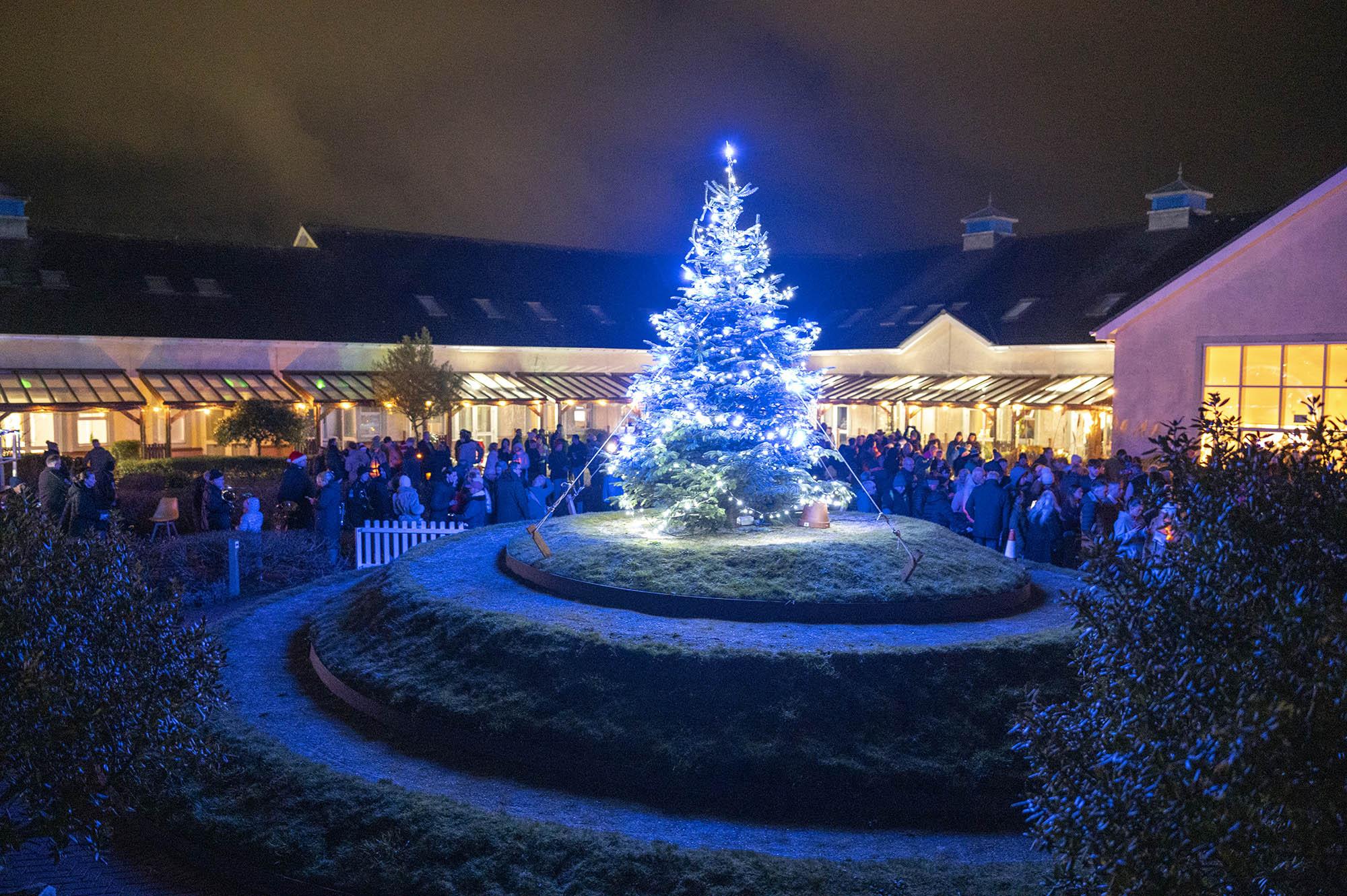 Light Up A Life 2026 Event Image