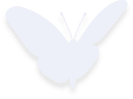 Team Butterfly2